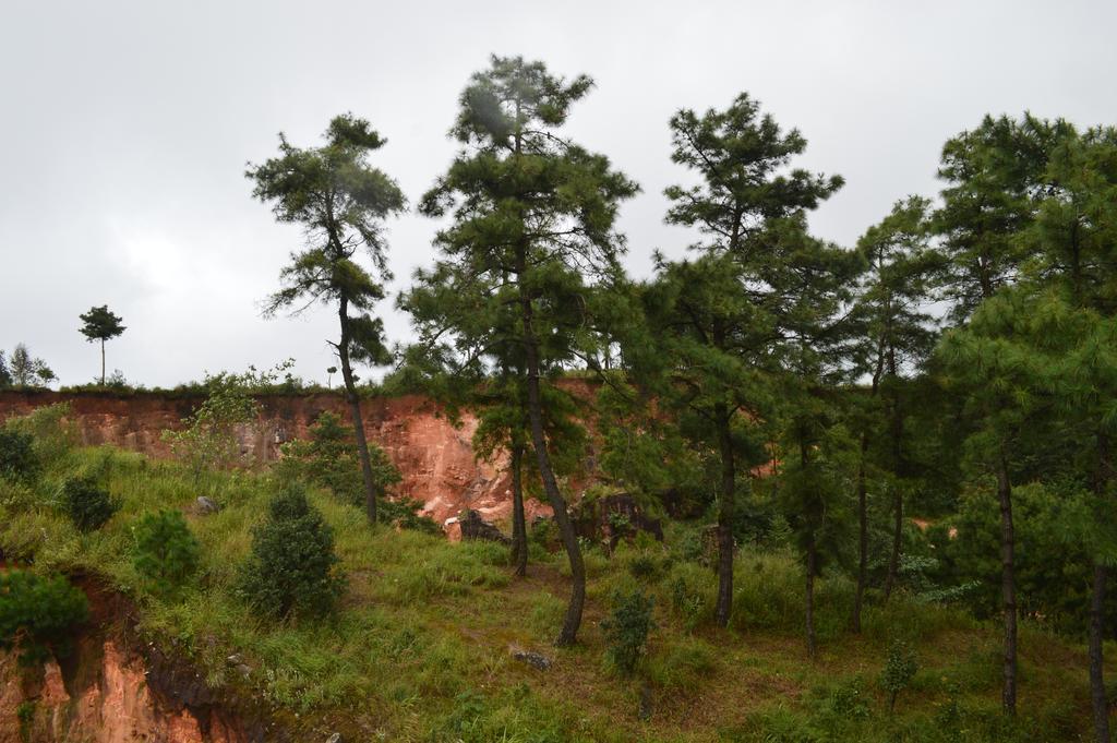 Orange Homestay Shillong Kültér fotó